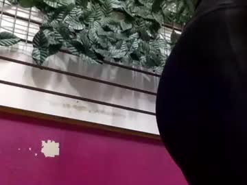 sarayx