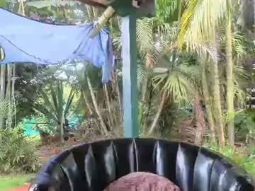 sarazuletaa