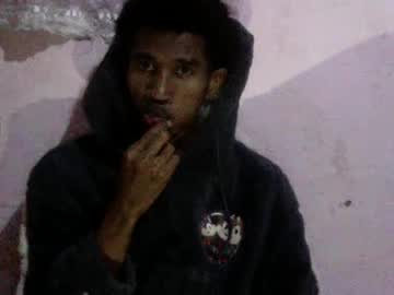 shatz5