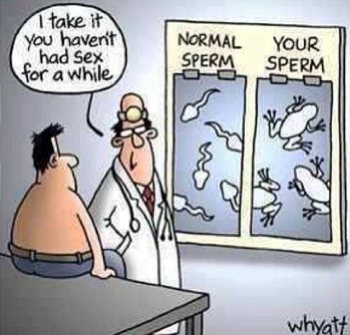 Sexy and Funny Toons Collection — 11