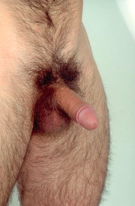 bears and very hairy men — 9
